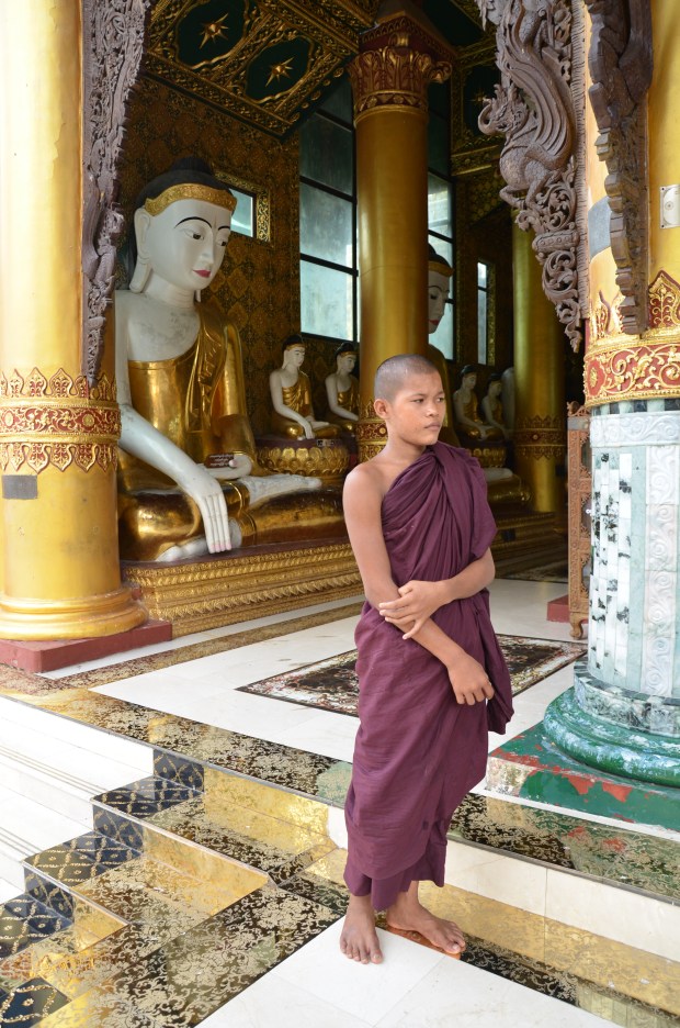 Young monk