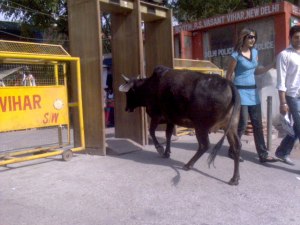 Vasant Vihar security