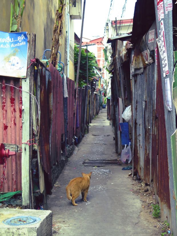 (C) 2015 Sharon Widell